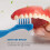 12 Pack Hard Denture Cleaning Brush, False Teeth Toothbrush 5