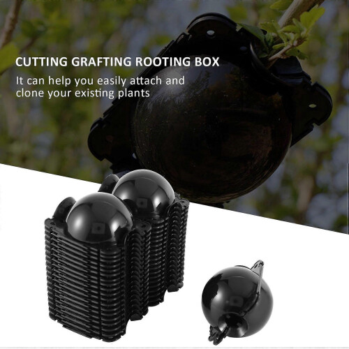20PCS Reusable Plant Rooting Kit-High Pressure Breeding Ball Box (S) 2