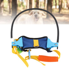 Lightweight XS Anti Collision Pet Ring for Cats & Dogs, Blue