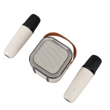 Portable Apricot Bluetooth Karaoke Speaker with 2 Microphones, Excellent Sound