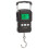 Fishing Scales Electronic Weighing Balance Digital Hanging Hook Scale - DD 1