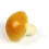 (Mushroom) 3Pcs Artificial Fake Faux Vegetables Decor Children Teaching Props 1
