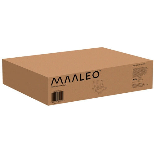 Painting set in a case 45 pcs Maaleo 23863 2