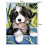 Maleri efter tal 40x30cm - Maaleo hund 22780 4