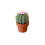Mini Cute 3D Printed Cactus Salt and Pepper Shakers - Forgecore Spikey Spices 1