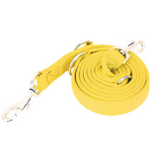 2m Nylon Pet Dog Leash with Chain 2.5cm x 200cm Yellow