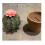 Mini Cute 3D Printed Cactus Salt and Pepper Shakers - Forgecore Spikey Spices 3