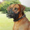 (5)Pet Dog Mouth Muzzles Soft Silicone Adjustable Breathable Dogs Anti Bark Bite Chew Muzzle Training 1