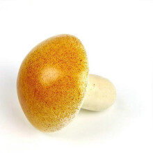 (Mushroom) 3Pcs Artificial Fake Faux Vegetables Decor Children Teaching Props