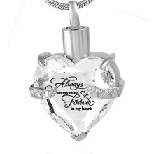 (D)Always on My Mind Forever in My Heart Cremation Urn Necklace for Ashes Urn Jewelry Memorial Pendant, No Necklace