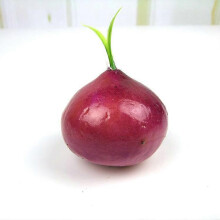 (Onion) 3Pcs Artificial Fake Faux Vegetables Decor Children Teaching Props
