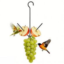 Hängender Orangen-Vogelfutterspender mit Haken, Obsthalter aus-1