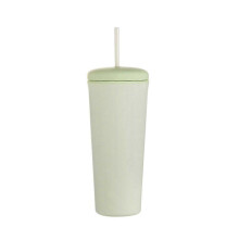 (green) Simple Water Cup Student Portable Double-layer High Temperature Resistant Water Cup With Straw Large Capacity