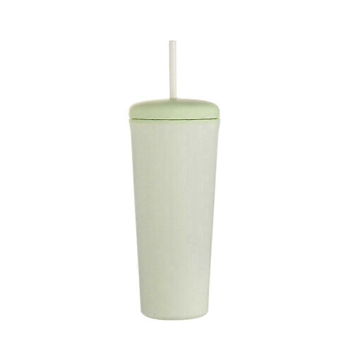 (green) Simple Water Cup Student Portable Double-layer High Temperature Resistant Water Cup With Straw Large Capacity