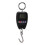 Portable Electronic Scale 200kg Black ABS 14