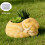 Kitten Shape Silicone Molds For Making Candle Cup Pen Holder 4
