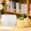 Kitten Shape Silicone Molds For Making Candle Cup Pen Holder 6