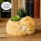 Kitten Shape Silicone Molds For Making Candle Cup Pen Holder 7