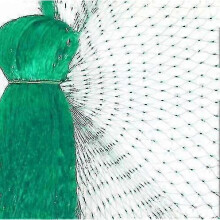 (2*10m) Heavy anti-bird netting for a garden fence, crops, and protective fencing mesh; also a cat, dog, chicken, and fishing net.