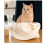 Cat Sling Carrier Large Space Canvas - Safe 1