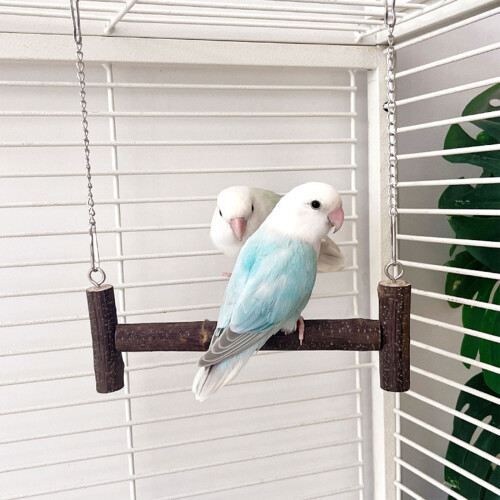 Bird Swing Chew Toy Perch Platform Metal Chain For-S 2