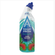 Astonish Eucalyptus Toilet Fresh Gel 750ml