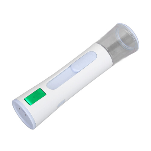 Facial Mist Sprayer 30ml Blue Double Hole 3.7V 2W 2