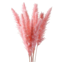 (Pink) 15Pcs Dried Pampas Grass Reed Flowers for Vase Bunch Flower Arrangement for Party Boho Decoration