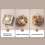 Durable Loofah Scrubber With Soap Pocket Rich Foaming 7