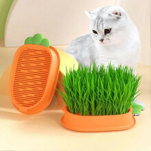 (Yellow) Ideal for Modern Long-lasting Cat Carrot Planting Grass Box Elegant Durable Home Hydroponic Box Ergonomic Soilless