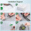 Automatic Watering System for Potted Plants Watering Devices Automatic Plant Waterer System with 4 Irrigation Drippers 2