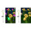 Solar Garden Lights Double Mode LED Solar Mushroom-color 2 2