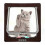 4-Way Cat Flap Cat Flap Entry Control Cat Flap Brown,M. 2