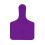 Y-Tex Blank Calf Y-Tag Ear Tags Purple 25's, 1 Count 1