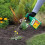 Roundup Total Weed Killer 1L | Ready to Use Systemic Spray 4
