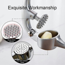 Garlic Mincer to Press Clove and Smash Ginger Handheld Zinc Alloy Rust-proof Tool for Kitchen - DD01