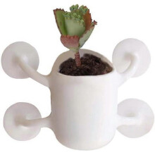 Wall Mounted Mini Flower Pot Succulent Flower Pot Wall Sucker Flower Pot (white) - DD01