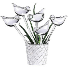 10-pack Self-Watering Glass, Transparent Bird-Shaped Globes for Plants