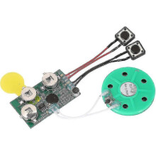 120 Second Sound Voice Recording Module Device Chip Writeable Sound Chip - ya0
