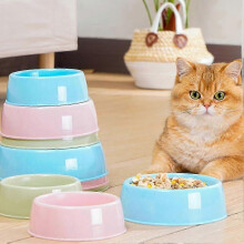 Plastic Pet Bowl for Dogs and Cats - 20cm Diameter Food and Water Feeding Dish for Daily Use