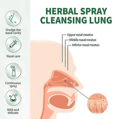 (4PCS)1~5x Herbal Lung Clearing And Repairing Spray NEw 1
