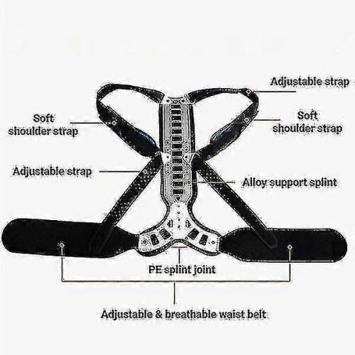 (M) Posture Corrector For Hunched Back, Kyphosis And Vertebral Compression Fracture_llk13 chunchuan 2
