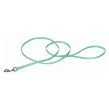 Coastal Pet Single-ply Teal Nylon Dog Lead, 6'L x 3/8"W