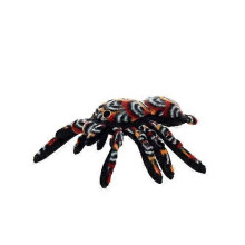 Tuffy Desert Tarantula, 1 Each