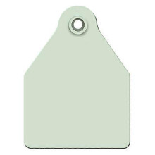 Agritags AgriLabs Large Blank AgriTags Green 25's, 1 Count