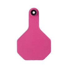 Y-Tex 3-Star Medium Blank All-American Ear Tags Hot Pink 25's, 1 Count