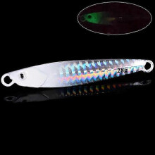 (I2-without hooks, 10G) Metal Cast Jig Spoon Lures for Sea Bass Fishing - Various Weights from 7g to 40g, Ideal for UK Shore Casting