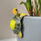 (C) Cute 3D Turtle Hanging Ornaments Decorative Cartoon Small Turtle 4