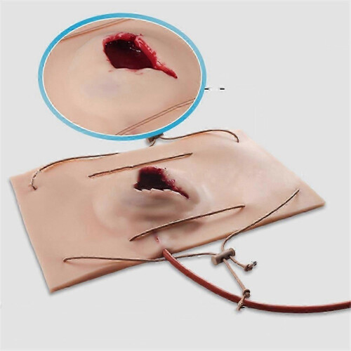 Large Wound Model for Hemostasis Control Training, Perfect for UK Medical Simulation and First Aid 1
