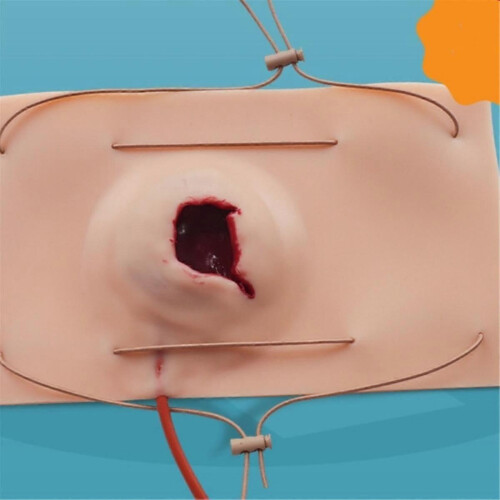 Large Wound Model for Hemostasis Control Training, Perfect for UK Medical Simulation and First Aid 2